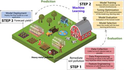 Machine learning: An effective technical method for future use in assessing the effectiveness of phosphorus-dissolving microbial agroremediation